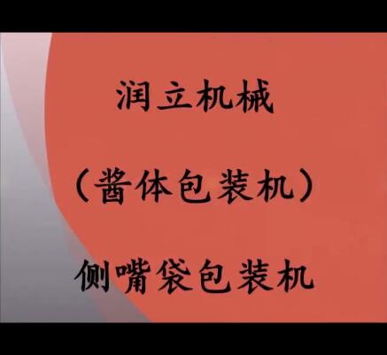 自動(dòng)醬體包裝機(jī)；帶嘴袋包裝機(jī)